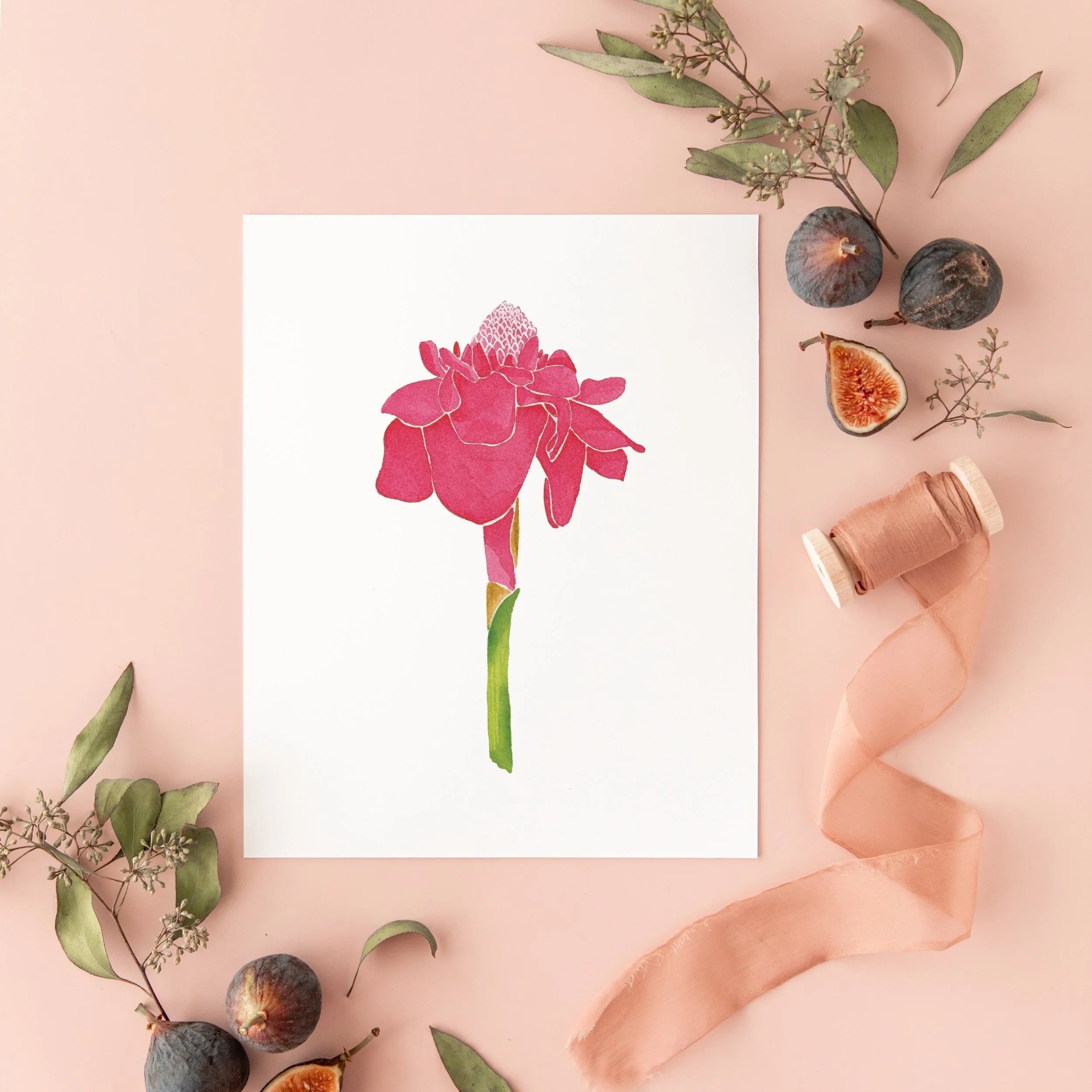 Botanical Art Prints 8x10 - Red Torch Ginger