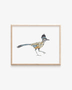 Roadrunner Art Print 8x10
