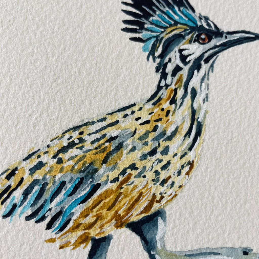 Roadrunner Art Print 8x10