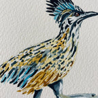 Roadrunner Art Print 8x10