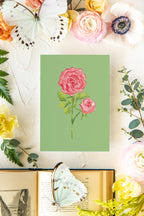 Colorful Botanical 5x7 Print - Rose