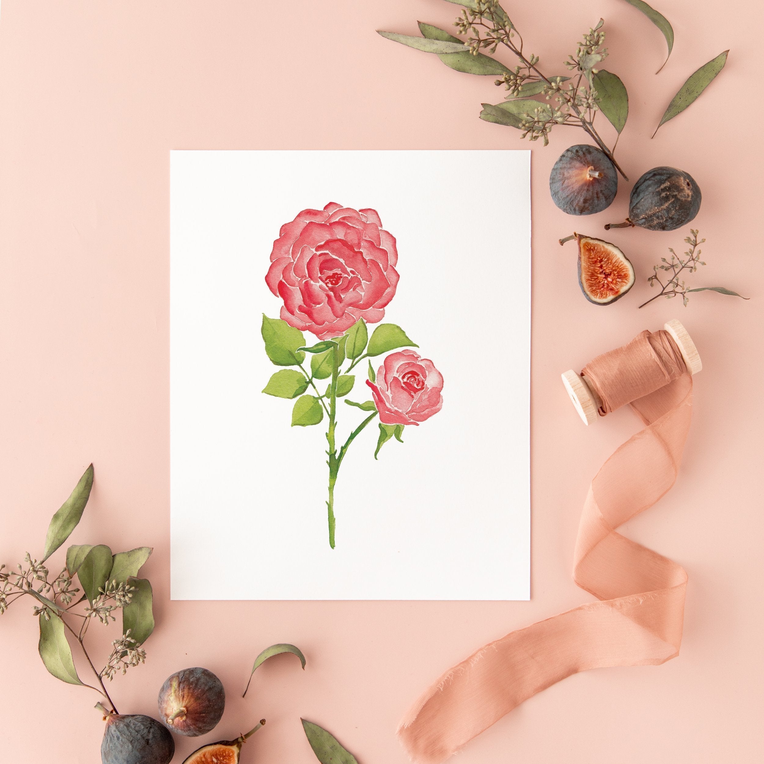 Botanical Art Prints 8x10 - Rose