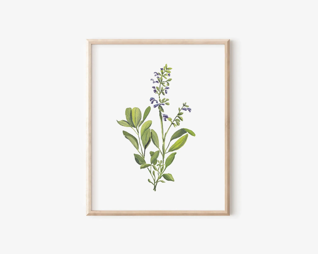 Sage Art Print 8x10