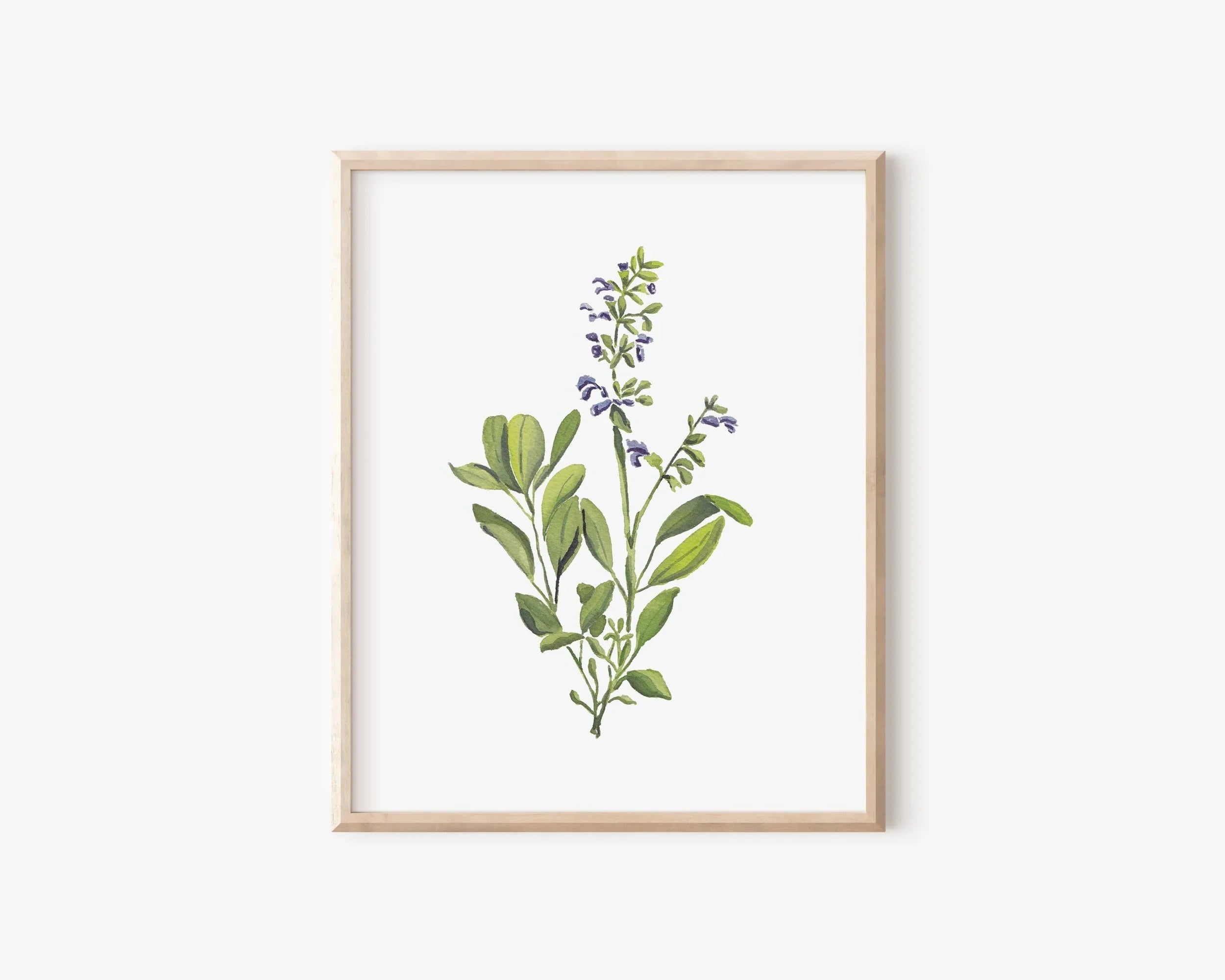 Sage Art Print 8x10
