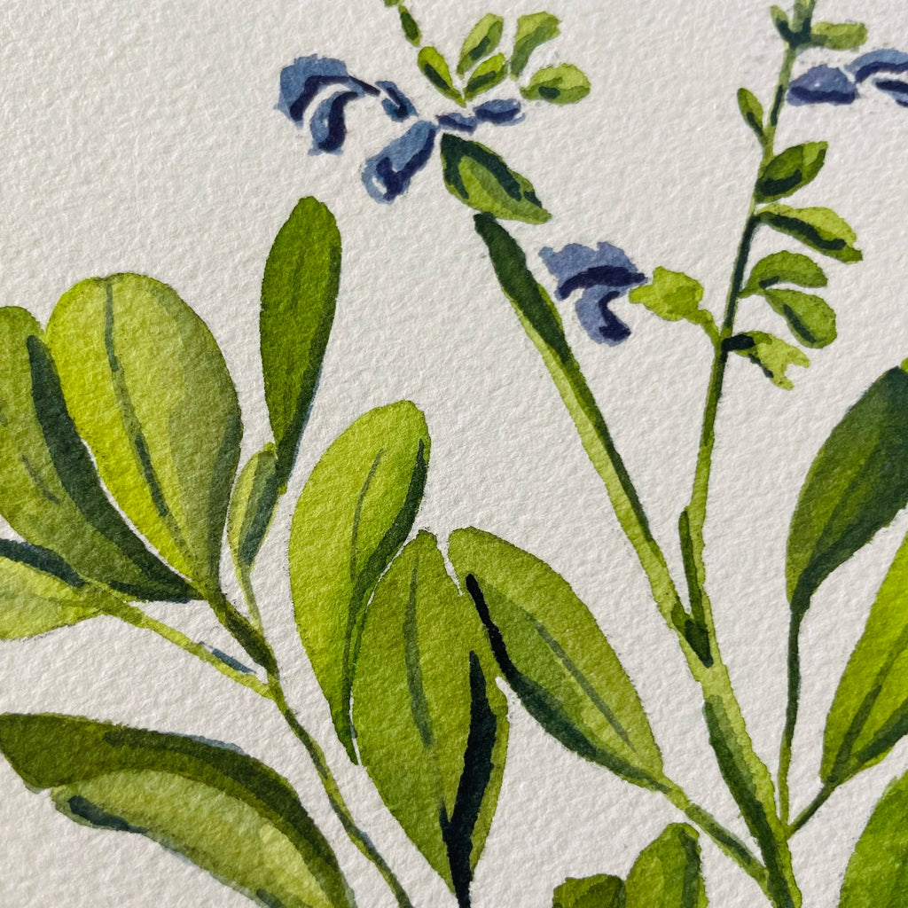 Sage Art Print 8x10