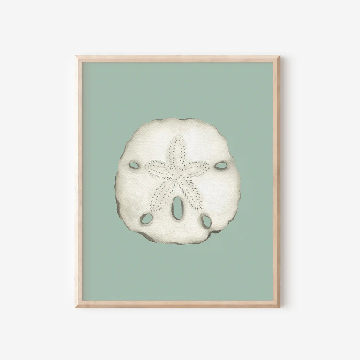 Sand Dollar Art Print Colorful 5x7