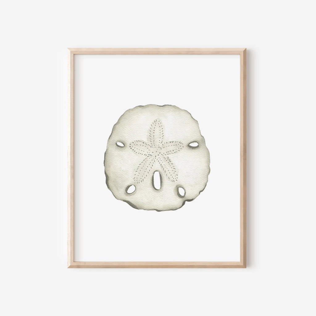Sand Dollar Art Print 8x10