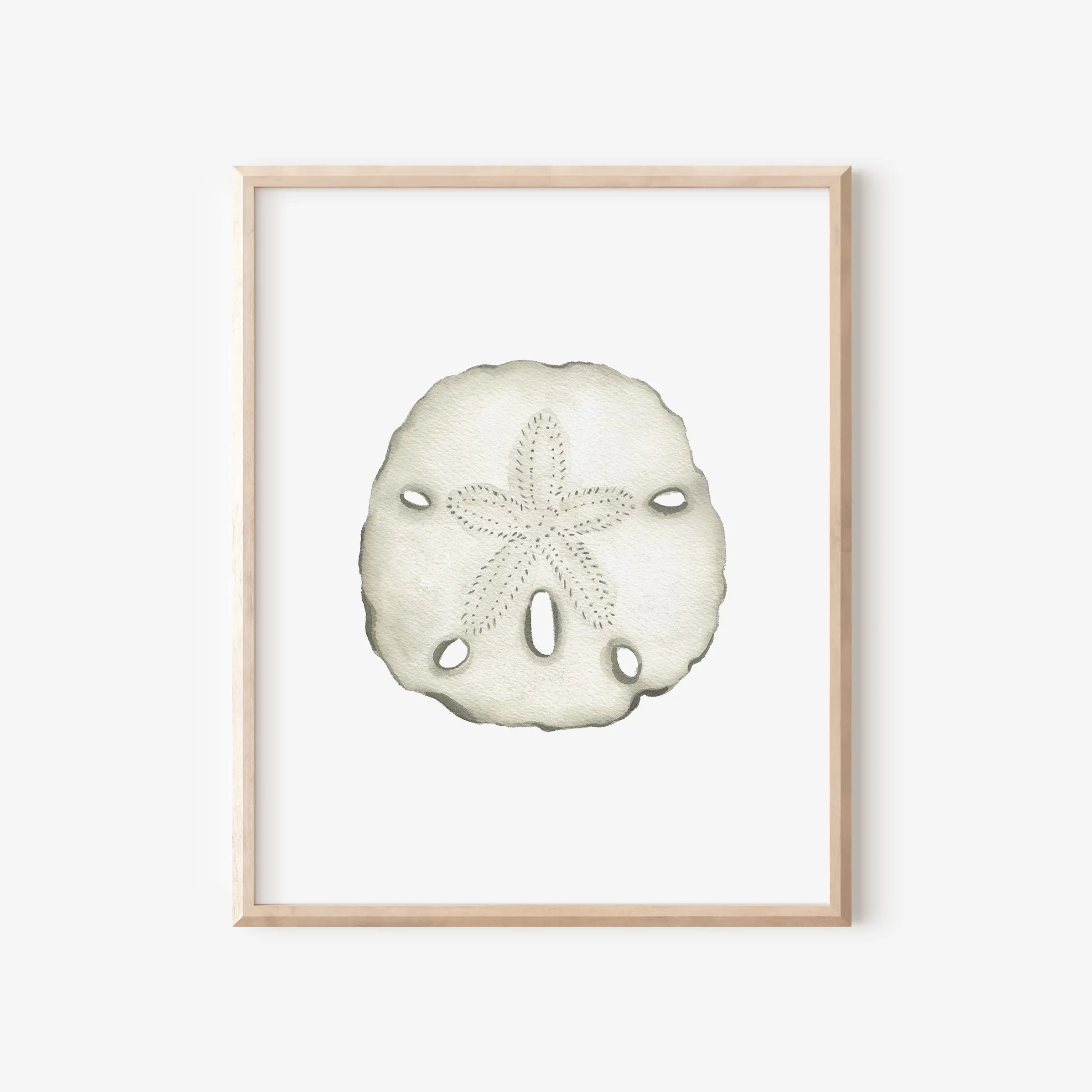 Sand Dollar Art Print 8x10