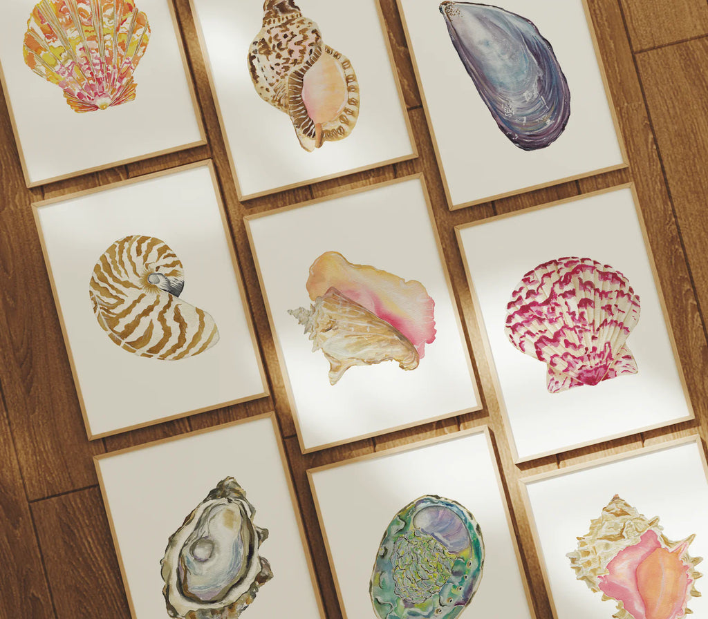 Abalone Art Print 8x10