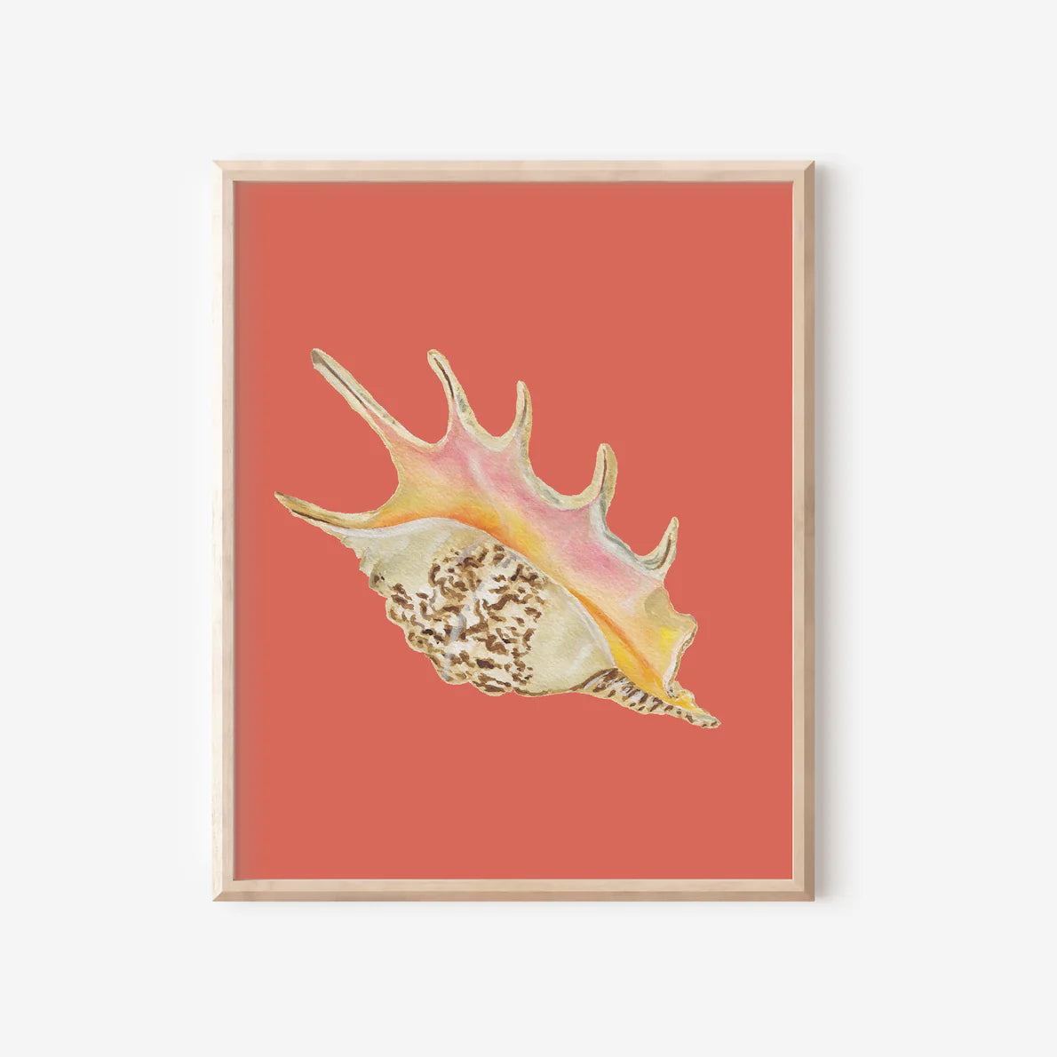 Spider Conch  Art Print Colorful 5x7