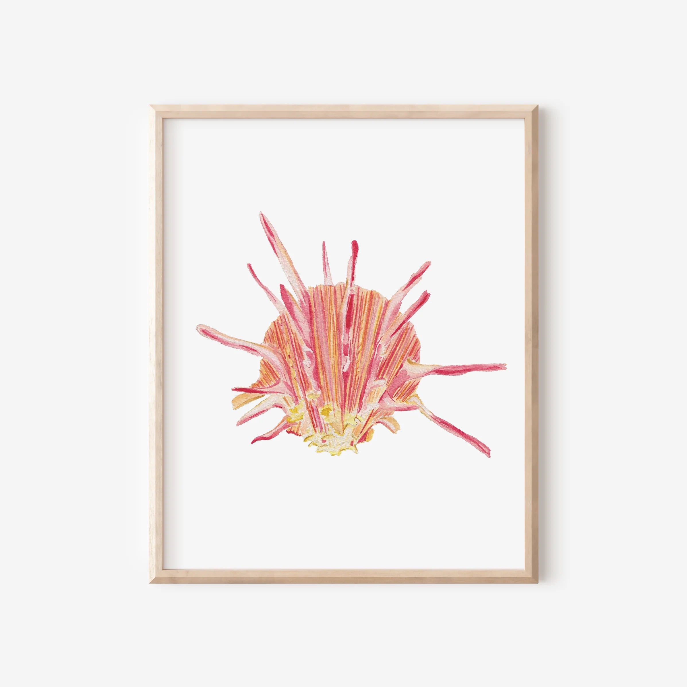 Spiny Oyster Art Print 8x10
