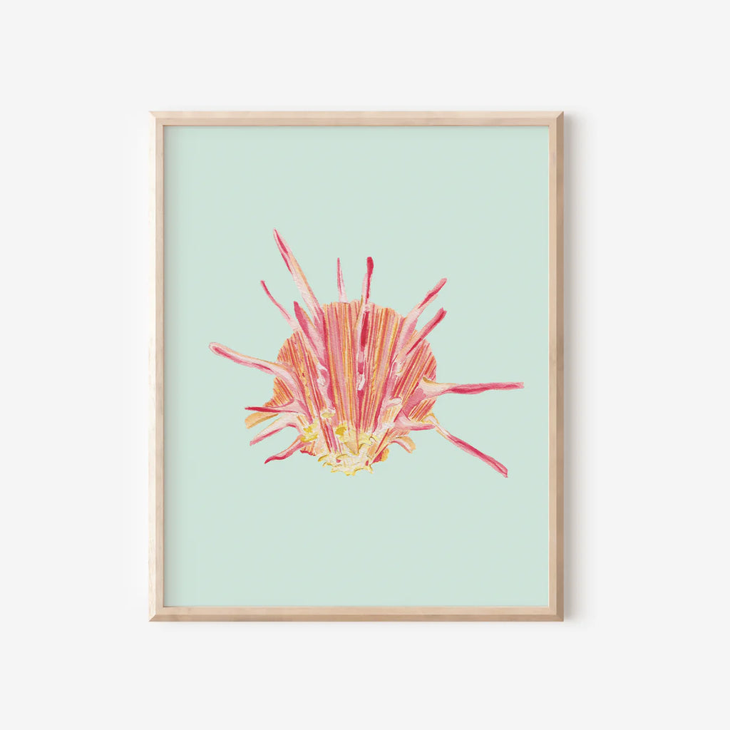 Spiny Oyster Art Print Colorful 5x7
