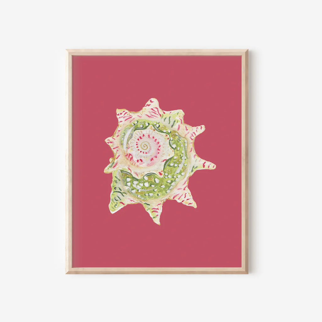 Star Shell Art Print Colorful 5x7