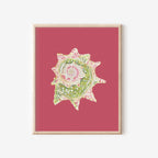 Star Shell Art Print Colorful 5x7