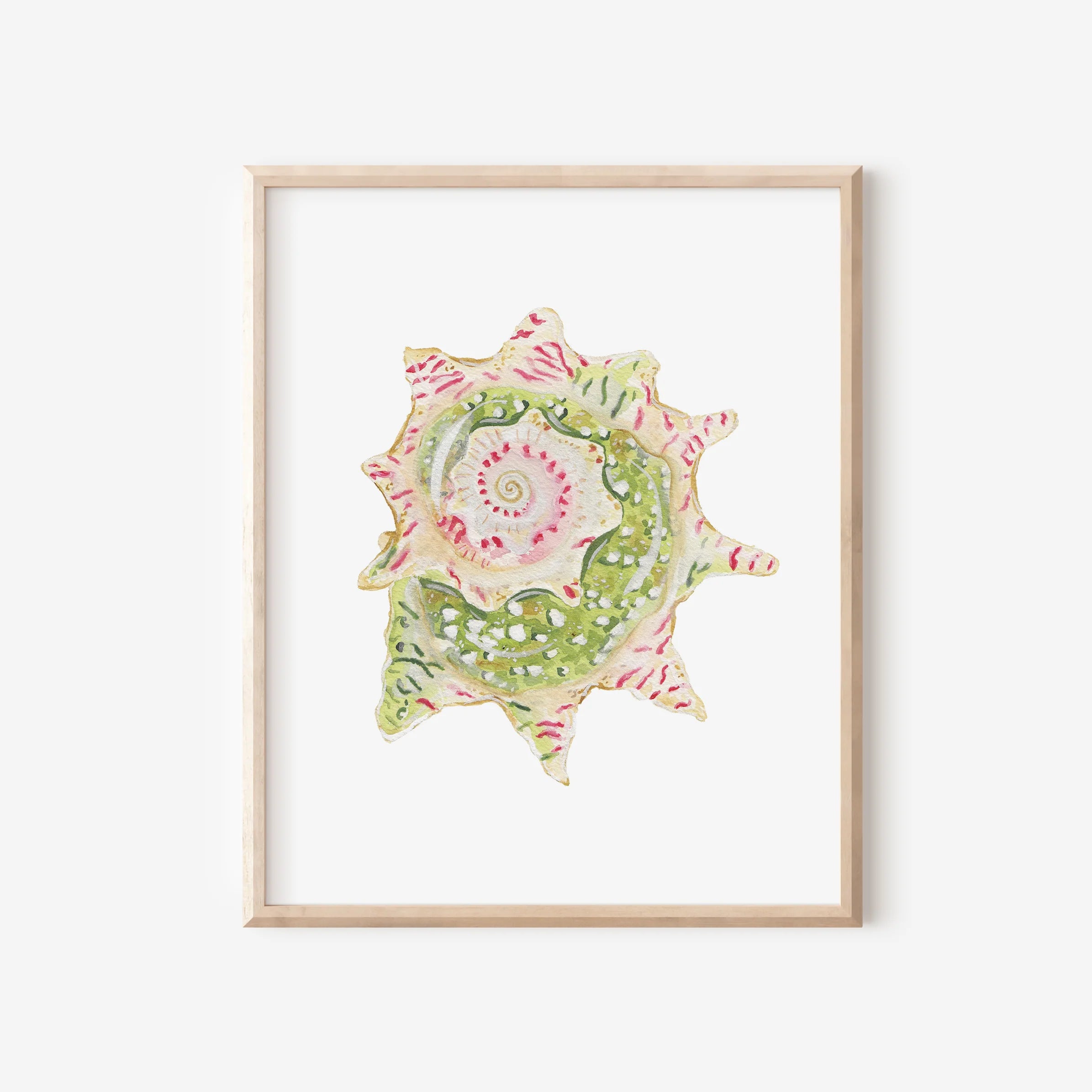 Star Shell Art Print 8x10