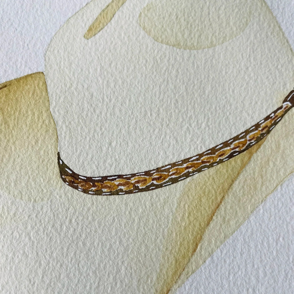 Stetson Art Print 8x10