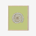Sundial Shell Art Print Colorful 5x7