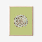Sundial Shell Art Print Colorful 5x7