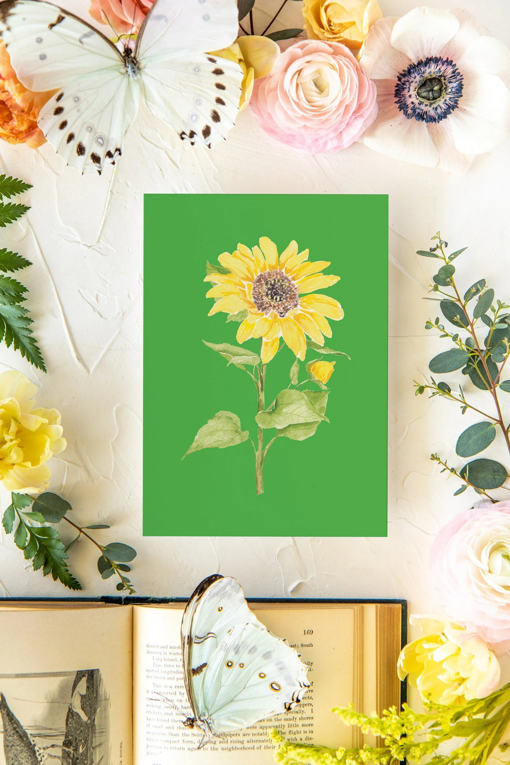 Colorful Botanical 5x7 Print - Sunflower