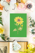 Colorful Botanical 5x7 Print - Sunflower