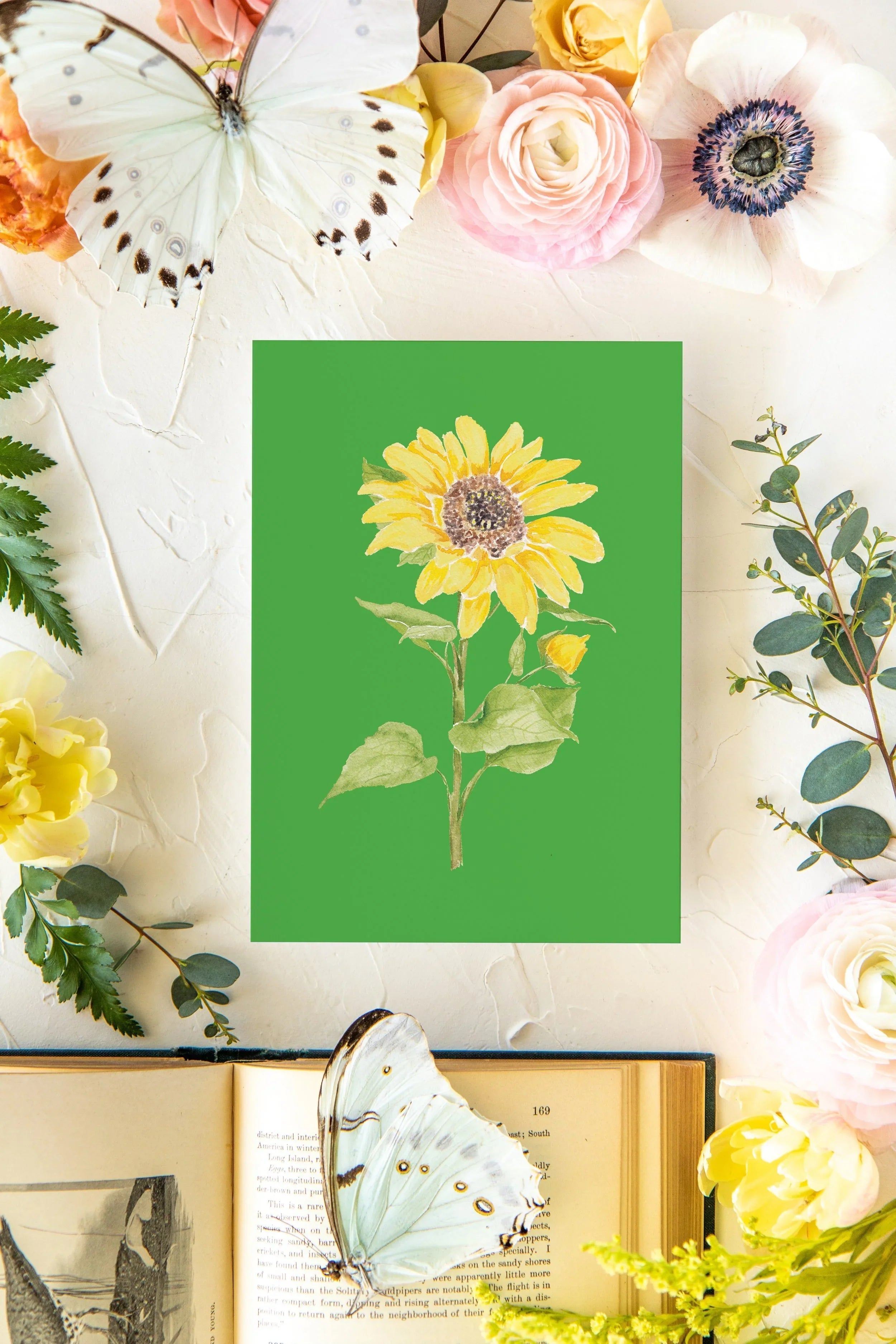 Colorful Botanical 5x7 Print - Sunflower