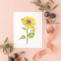 Botanical Art Prints 8x10 - Sunflower