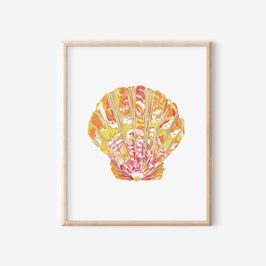 Sunrise Shell Art Print 8x10
