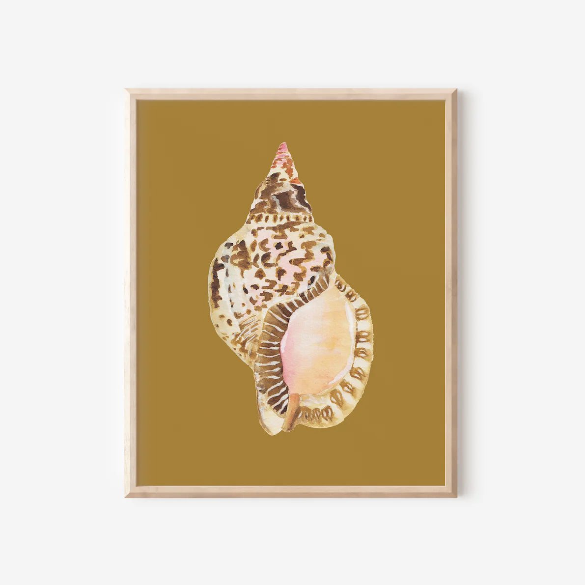 Triton Shell Art Print Colorful 5x7