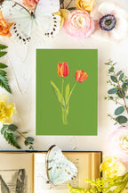 Colorful Botanical 5x7 Print - Tulip