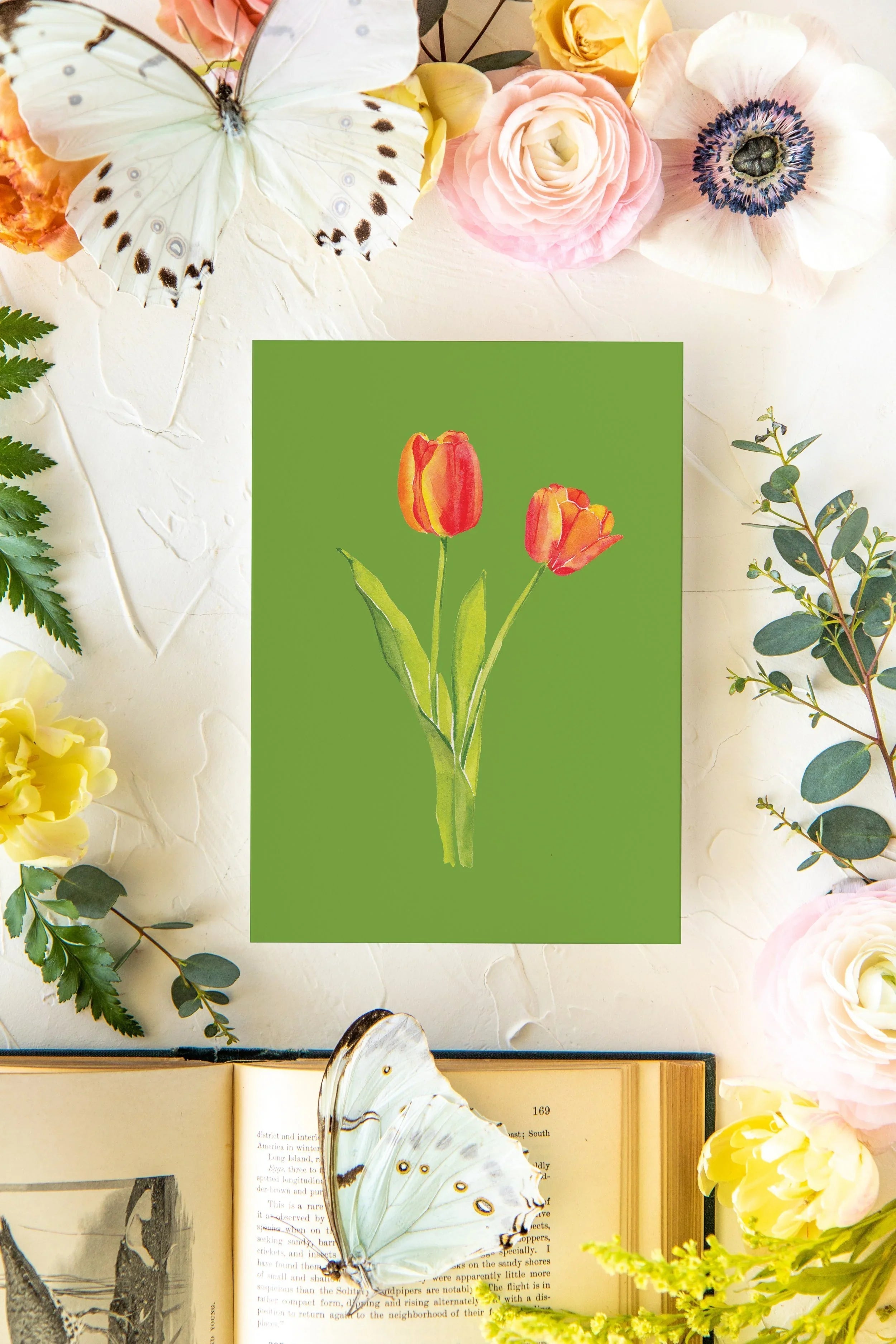 Colorful Botanical 5x7 Print - Tulip