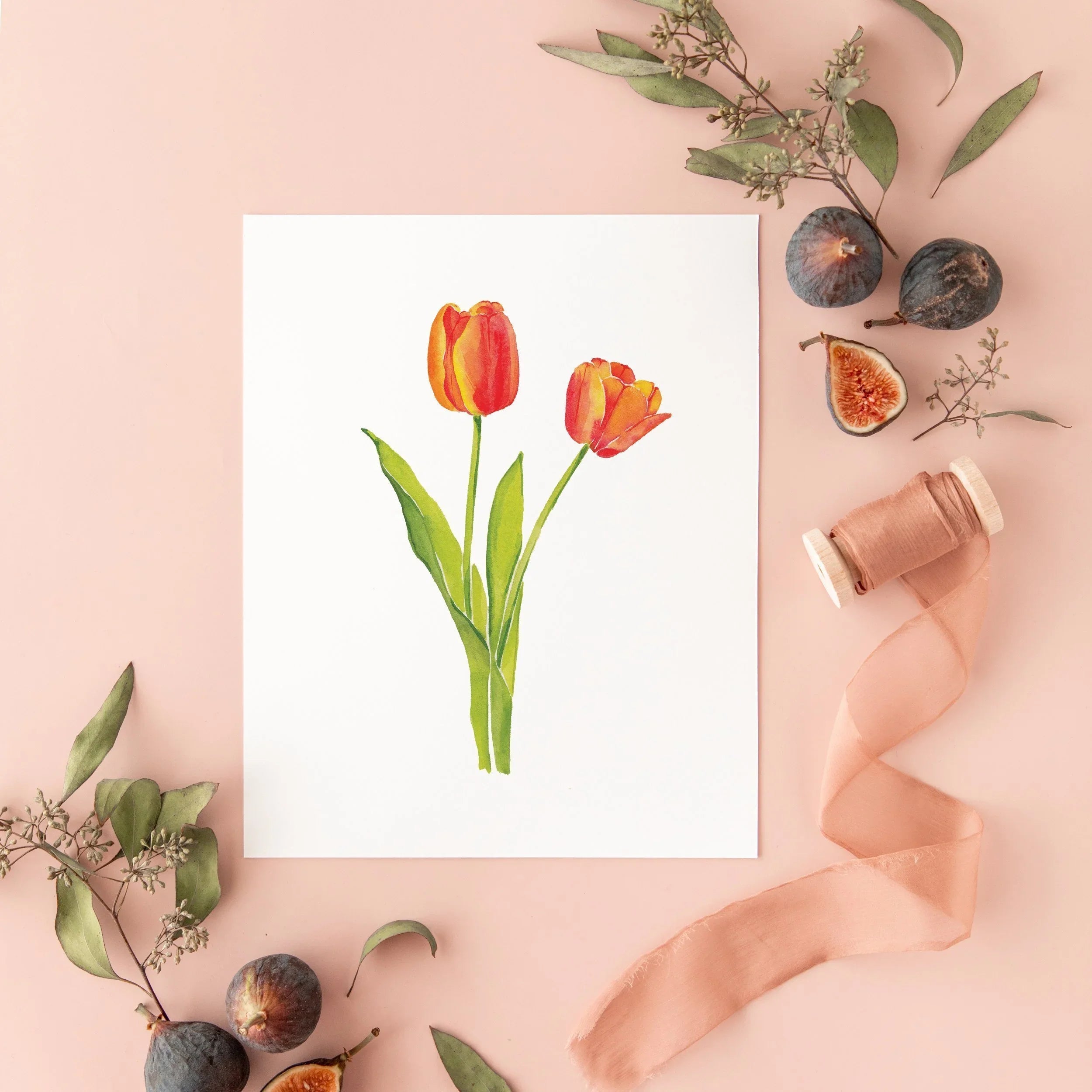 Botanical Art Prints 8x10 - Tulip