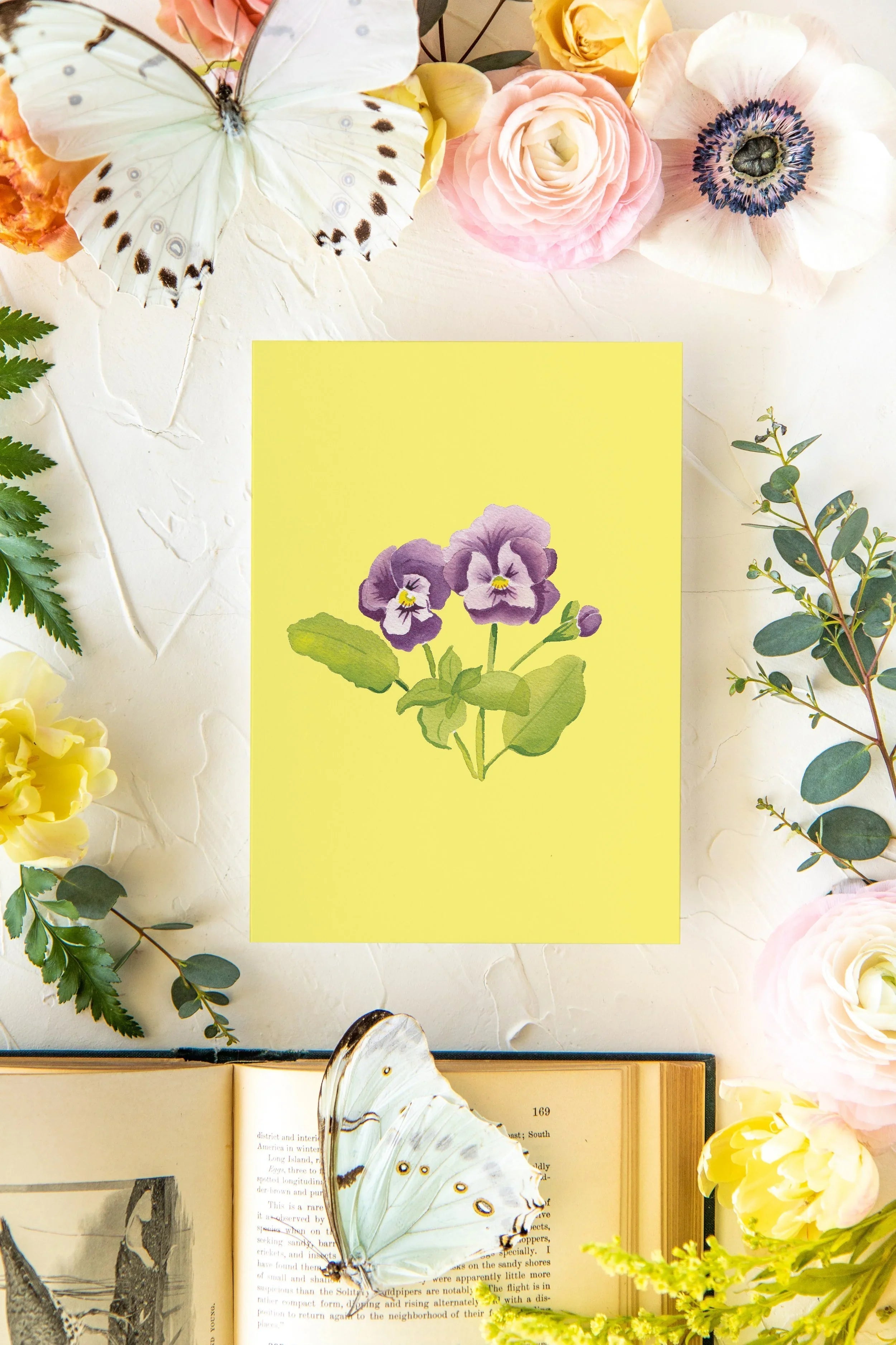 Colorful Botanical 5x7 Print - Violet