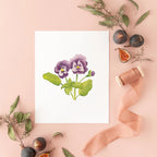 Botanical Art Prints 8x10 - Violet