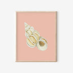 Wentletrap Art Print Colorful 5x7
