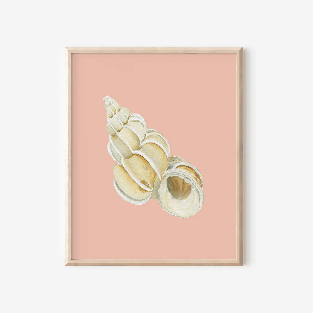Wentletrap Art Print Colorful 5x7