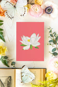 Colorful Botanical 5x7 Print - White Lotus