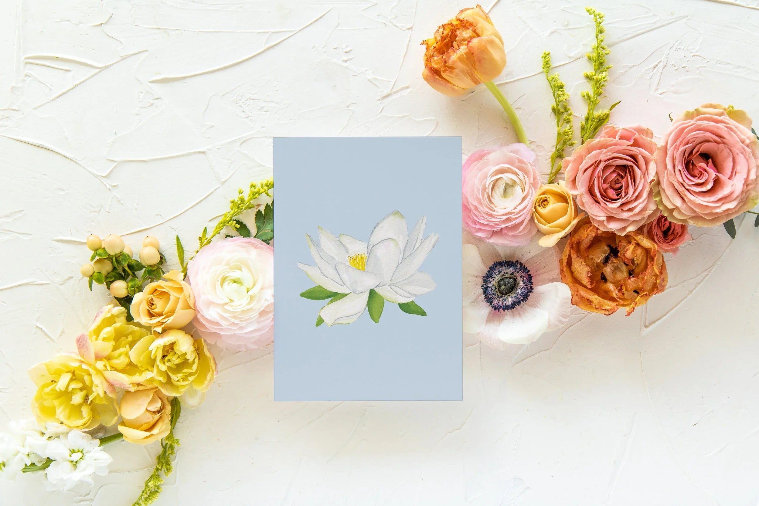 Blue Botanical 5x7 Prints - White Lotus