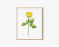 Yellow Rose Art Print 8x10