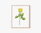 Yellow Rose Art Print 8x10