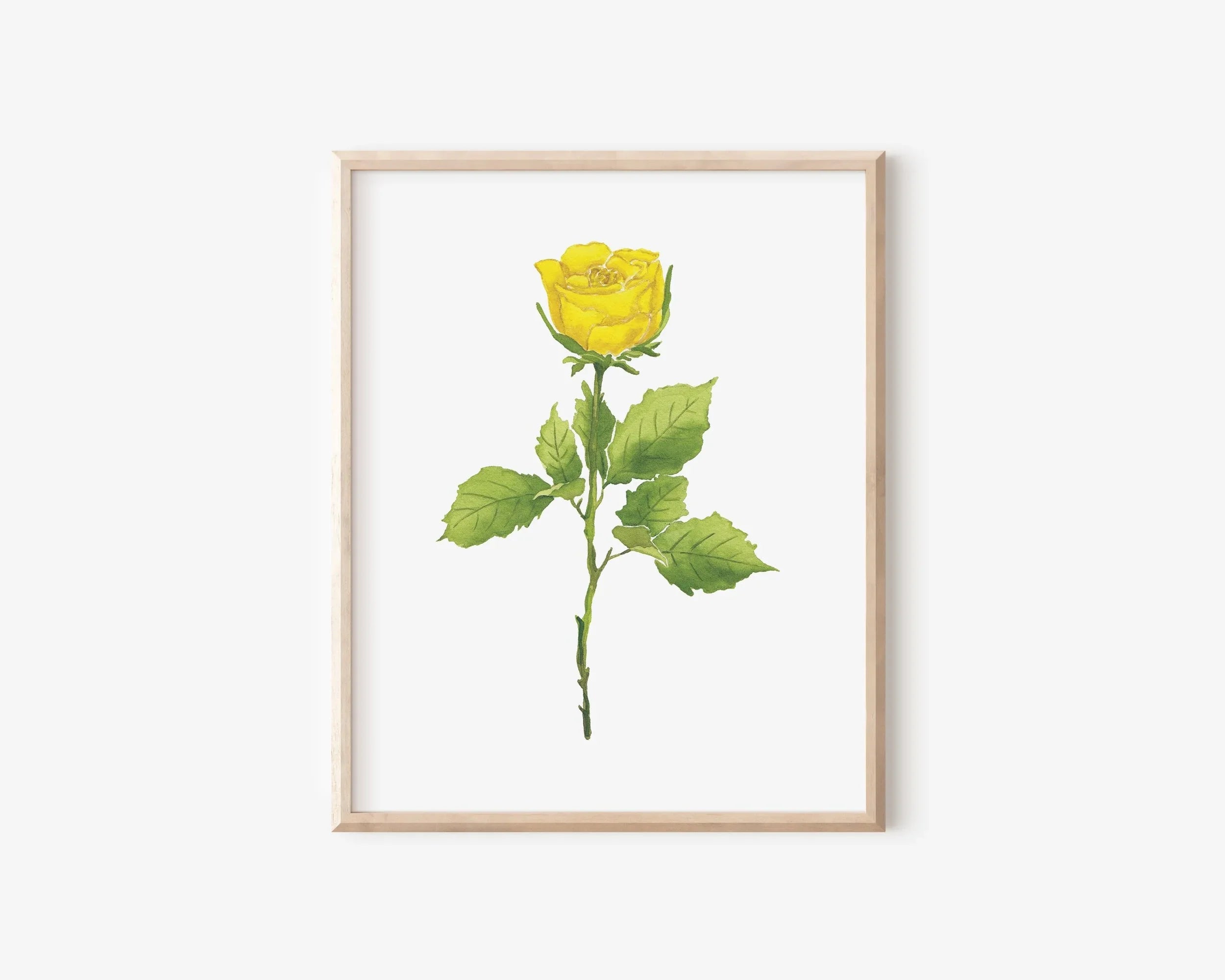 Yellow Rose Art Print 8x10